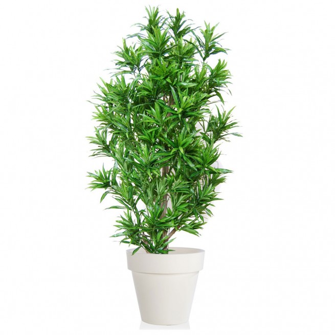 Planta semi-artificiala Ila, Dracaena Reflexa Multistep Green - 180 cm